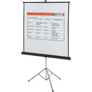 Quartet Manual Projection Screen 570S