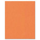 Hilroy Heavyweight Bristol Board A20374