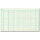 Blueline Large Columnar Pad A4012