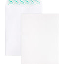 Business Source Self Sealing Catalog Envelope 65450