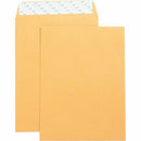 Business Source Self Adhesive Kraft Catalog Envelopes 42120