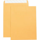 Business Source Self Adhesive Kraft Catalog Envelopes 42121
