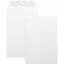 Business Source Self-Seal 6"x9" Catalog Envelopes 42122