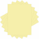 EarthChoice Colors Vellum Bristol Stock - Canary 81044