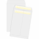 Business Source Press/Seal Catalog Envelopes 04647