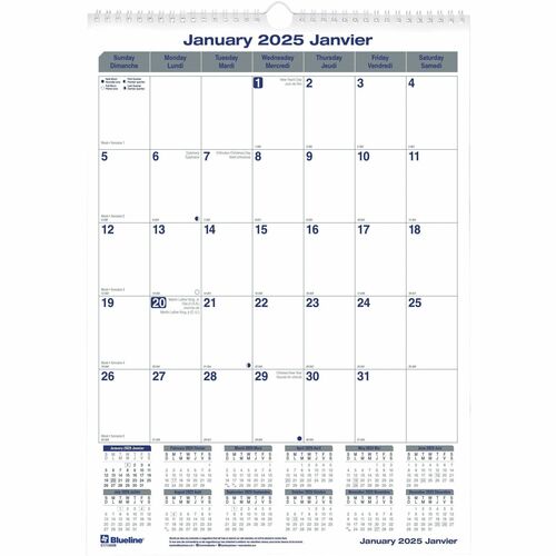 Blueline Blueline Net Zero Carbon Monthly Wall Calendar BLIC171303B