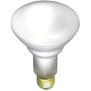Satco 65-watt BR30 Incandescent Floodlight S3408