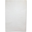 NCR Paper 50-Sheet Newsprint Easel Pad 90500603