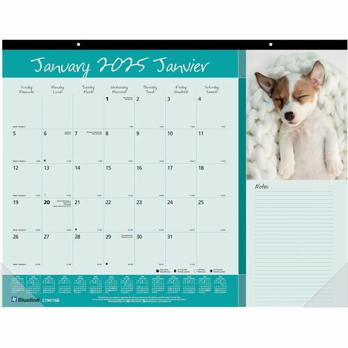 Blueline&reg; Monthly Desk Pads BLIC194116B