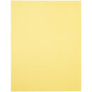 Domtar EarthChoice&reg; Multipurpose Coloured Paper 81067