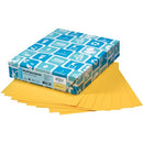Domtar EarthChoice&reg; Multipurpose Coloured Paper 81073