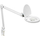 Dainolite 8W LED Magnifier Lamp, White Finish DMLED10AWH