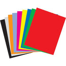 NAPP Bristol Printable Multipurpose Card Stock C0225125