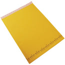 ECOLITE Shipping Envelope 1391887