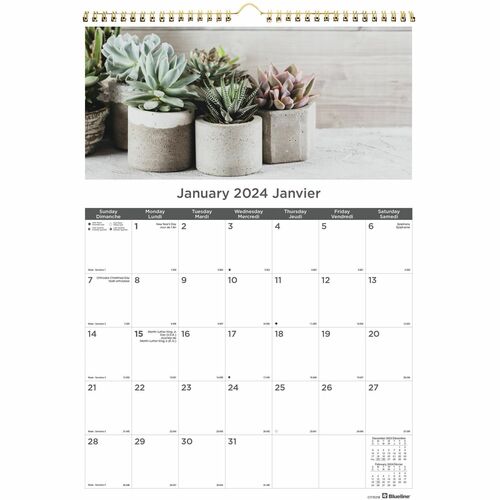 Blueline Blueline Monthly Wall Calendar BLIC173121B