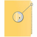Quest Numerical Litigation Index Dividers QB11252