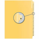 Quest Index Divider QB11259