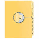 Quest Numerical Litigation Index Dividers QB112512