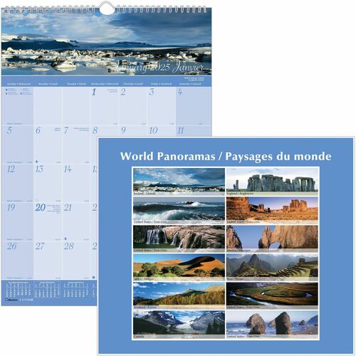 Blueline Blueline Monthly Wall Calendar BLIC173104B