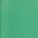 NAPP Colour Cardstock C0248125