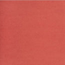 NAPP Colour Cardstock C0248117