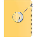 Davis Group Index Divider B15002