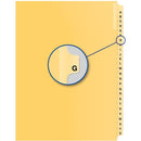 Davis Group Index Divider B15006