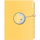 Davis Group Index Divider B15009
