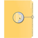 Davis Group Index Divider B15011