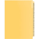 Davis Group Index Divider B12006