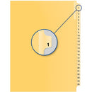 Davis Group Index Divider B14001