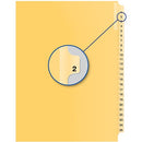 Davis Group Index Divider B14002