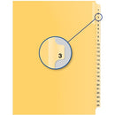 Davis Group Index Divider B14003