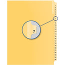 Davis Group Index Divider B14007