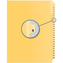 Davis Group Index Divider B14008