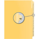Davis Group Index Divider B14010