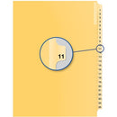Davis Group Index Divider B14011