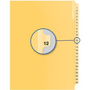 Davis Group Index Divider B14012