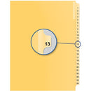 Davis Group Index Divider B14013