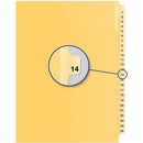 Davis Group Index Divider B14014