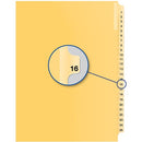 Davis Group Index Divider B14016
