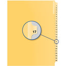 Davis Group Index Divider B14017