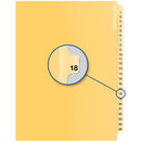 Davis Group Index Divider B14018