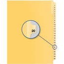 Davis Group Index Divider B14020