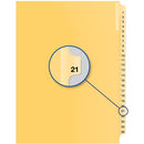 Davis Group Index Divider B14021