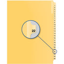Davis Group Index Divider B14022