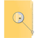 Davis Group Index Divider B14023