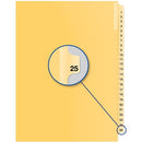 Davis Group Index Divider B14025