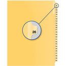 Davis Group Index Divider B14026