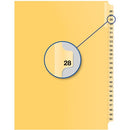 Davis Group Index Divider B14028